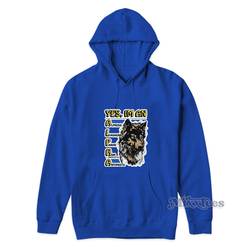 Alpha discount m hoodie